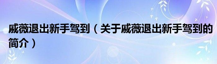 戚薇退出新手駕到（關于戚薇退出新手駕到的簡介）