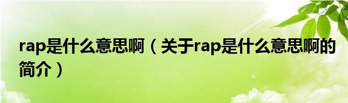 rap是什么意思?。P(guān)于rap是什么意思啊的簡介）