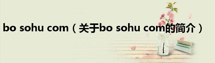 bo sohu com（關(guān)于bo sohu com的簡介）