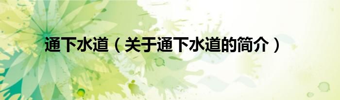 通下水道（關(guān)于通下水道的簡(jiǎn)介）