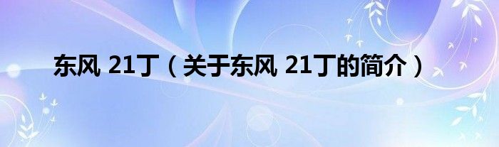 東風(fēng) 21?。P(guān)于東風(fēng) 21丁的簡介）