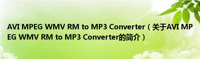 AVI MPEG WMV RM to MP3 Converter（關于AVI MPEG WMV RM to MP3 Converter的簡介）