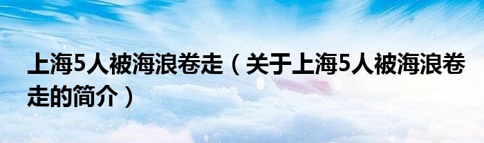 上海5人被海浪卷走（關(guān)于上海5人被海浪卷走的簡介）