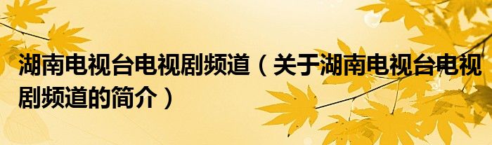 湖南電視臺電視劇頻道（關(guān)于湖南電視臺電視劇頻道的簡介）