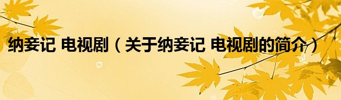 納妾記 電視?。P于納妾記 電視劇的簡介）