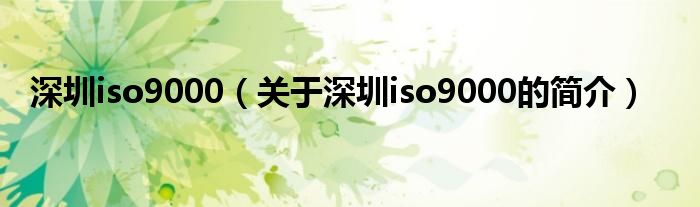 深圳iso9000（關于深圳iso9000的簡介）