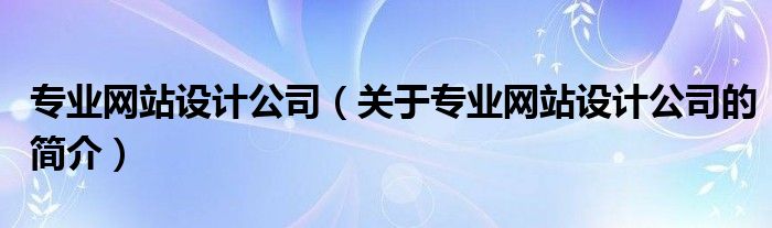 專業(yè)網(wǎng)站設(shè)計(jì)公司（關(guān)于專業(yè)網(wǎng)站設(shè)計(jì)公司的簡(jiǎn)介）