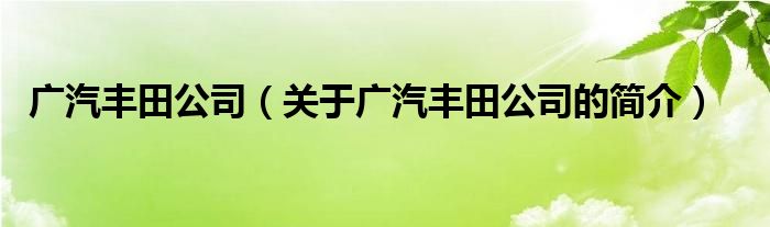 廣汽豐田公司（關(guān)于廣汽豐田公司的簡(jiǎn)介）