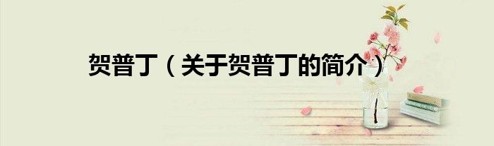 賀普丁（關(guān)于賀普丁的簡(jiǎn)介）