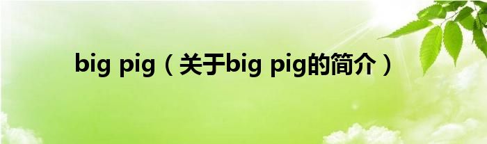 big pig（關于big pig的簡介）