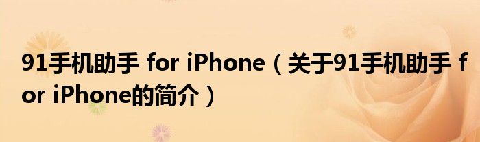 91手機(jī)助手 for iPhone（關(guān)于91手機(jī)助手 for iPhone的簡介）