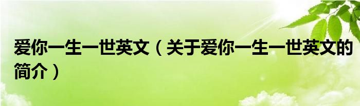 愛(ài)你一生一世英文（關(guān)于愛(ài)你一生一世英文的簡(jiǎn)介）