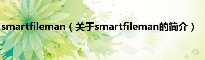 smartfileman（關(guān)于smartfileman的簡介）