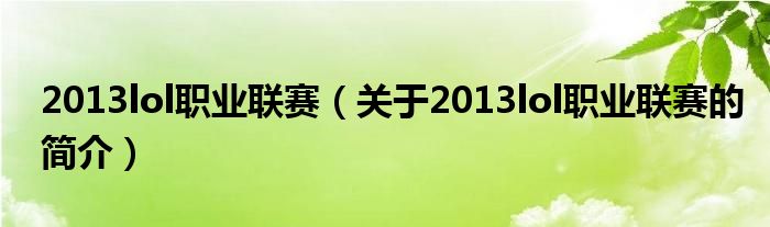 2013lol職業(yè)聯(lián)賽（關于2013lol職業(yè)聯(lián)賽的簡介）