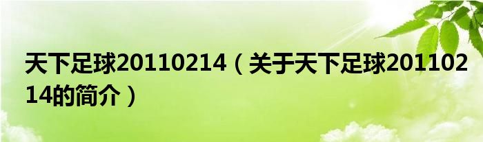 天下足球20110214（關(guān)于天下足球20110214的簡介）