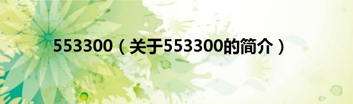 553300（關(guān)于553300的簡介）