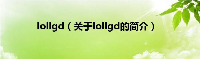 lollgd（關于lollgd的簡介）