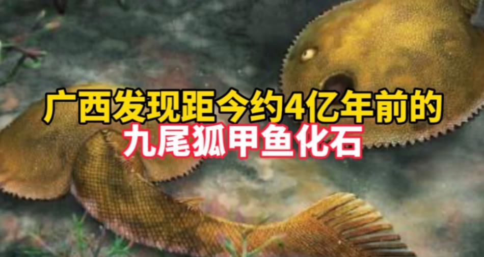 發(fā)現(xiàn)新屬種九尾狐甲魚，揭開(kāi)盔甲魚類尾鰭的神秘面紗