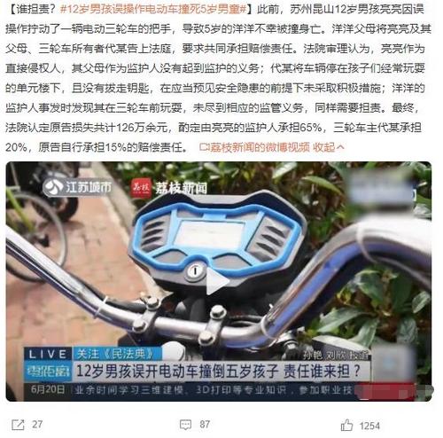 12歲男孩誤操作電動(dòng)車撞死5歲男童，法院判決共同承擔(dān)賠償責(zé)任