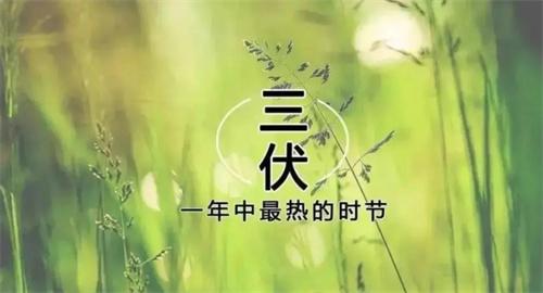 2023年“三伏天”將提前且持續(xù)加長(zhǎng)，民眾需做好防暑準(zhǔn)備