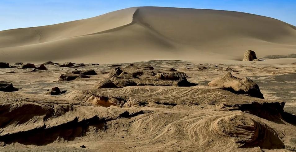 羅布泊野駱駝保護區(qū)禁私自進入，外地游客嚴防危險