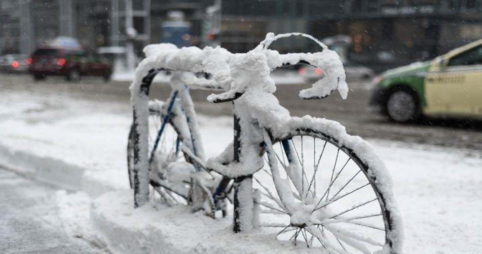 寒潮襲擊山東：雪深破紀錄，專家解讀應(yīng)對之策